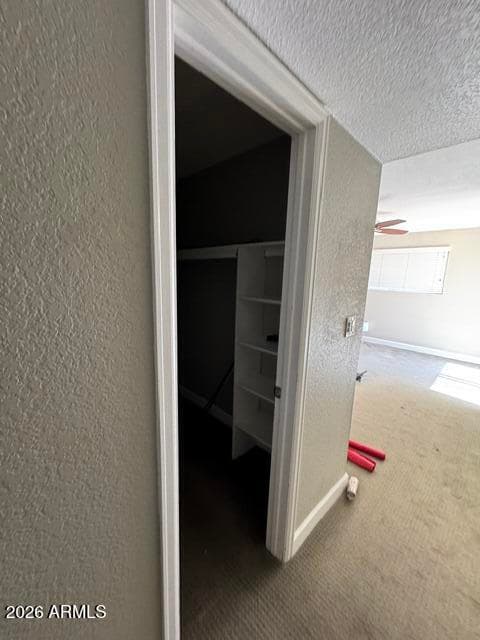 2931 N 22nd Way, Phoenix, AZ 85016 — photo 5 of 10