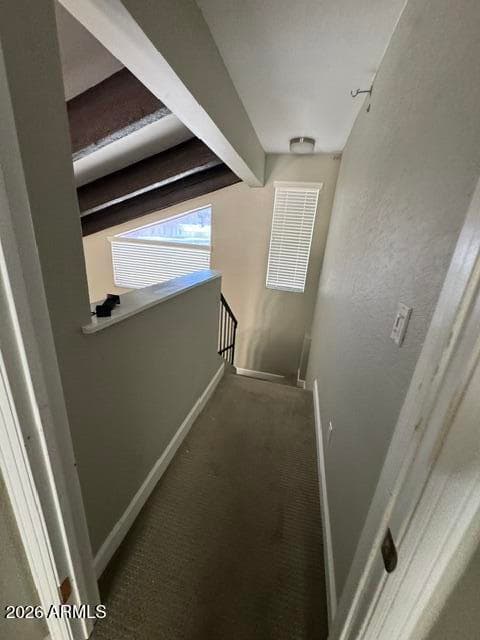 2931 N 22nd Way, Phoenix, AZ 85016 — photo 7 of 10