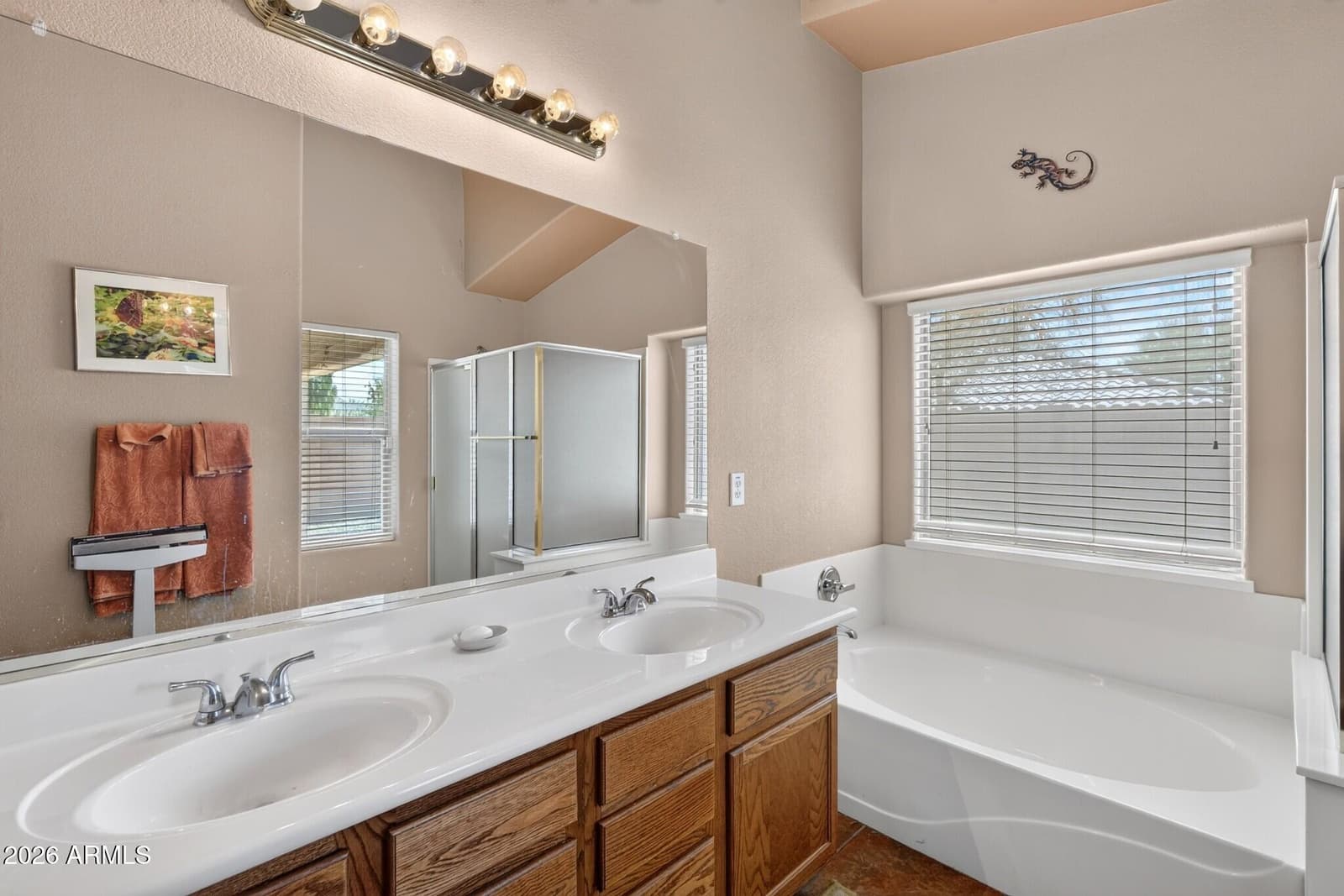 687 E Palomino Way, San Tan Valley, AZ 85143 — photo 26 of 49