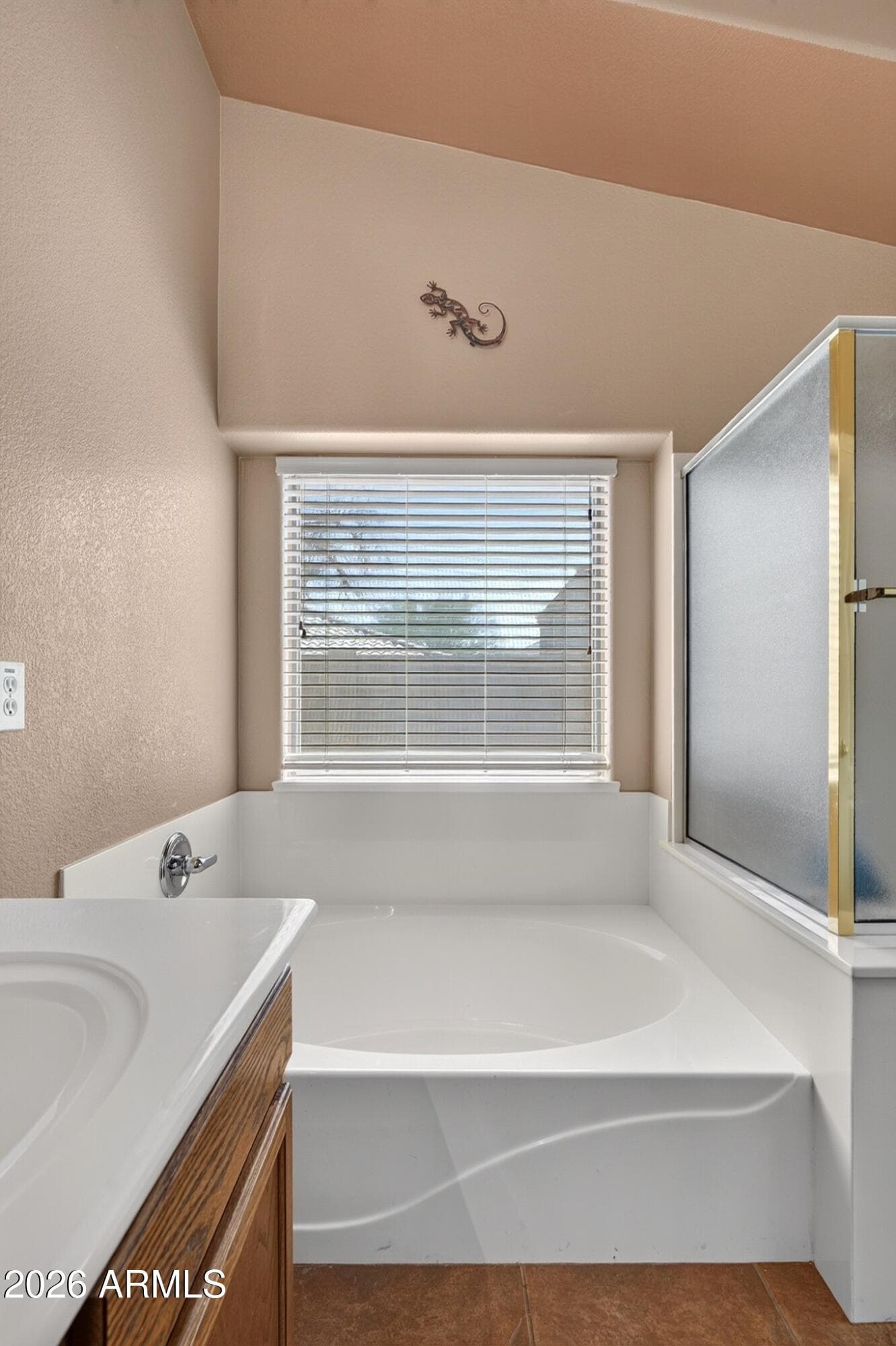 687 E Palomino Way, San Tan Valley, AZ 85143 — photo 29 of 49
