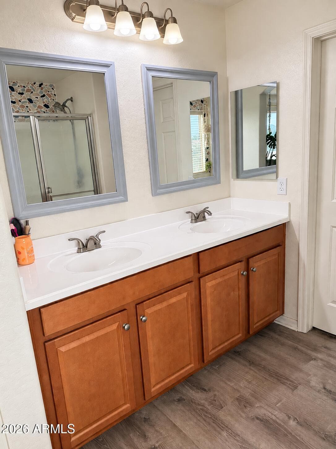 1087 W Empress Tree Avenue, San Tan Valley, AZ 85140 — photo 5 of 24