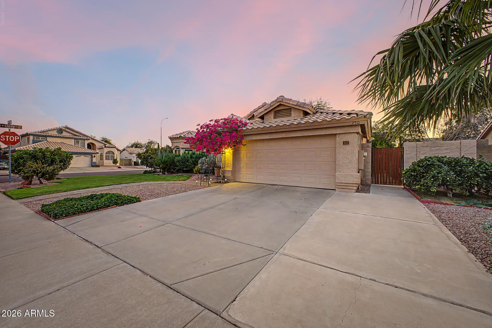 250 S Ash Drive, Chandler, AZ 85224 — photo 3 of 60