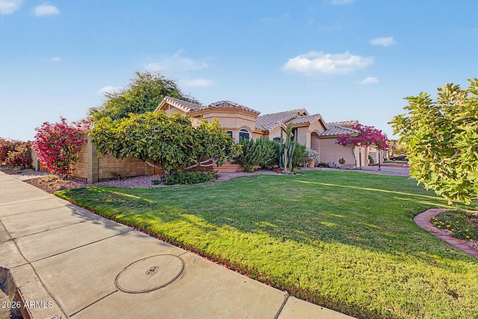 250 S Ash Drive, Chandler, AZ 85224 — photo 59 of 60