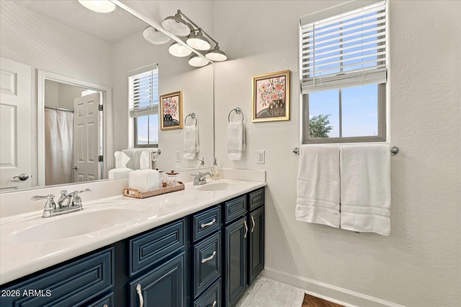15439 W Dreyfus Street, Surprise, AZ 85379 — photo 52 of 63