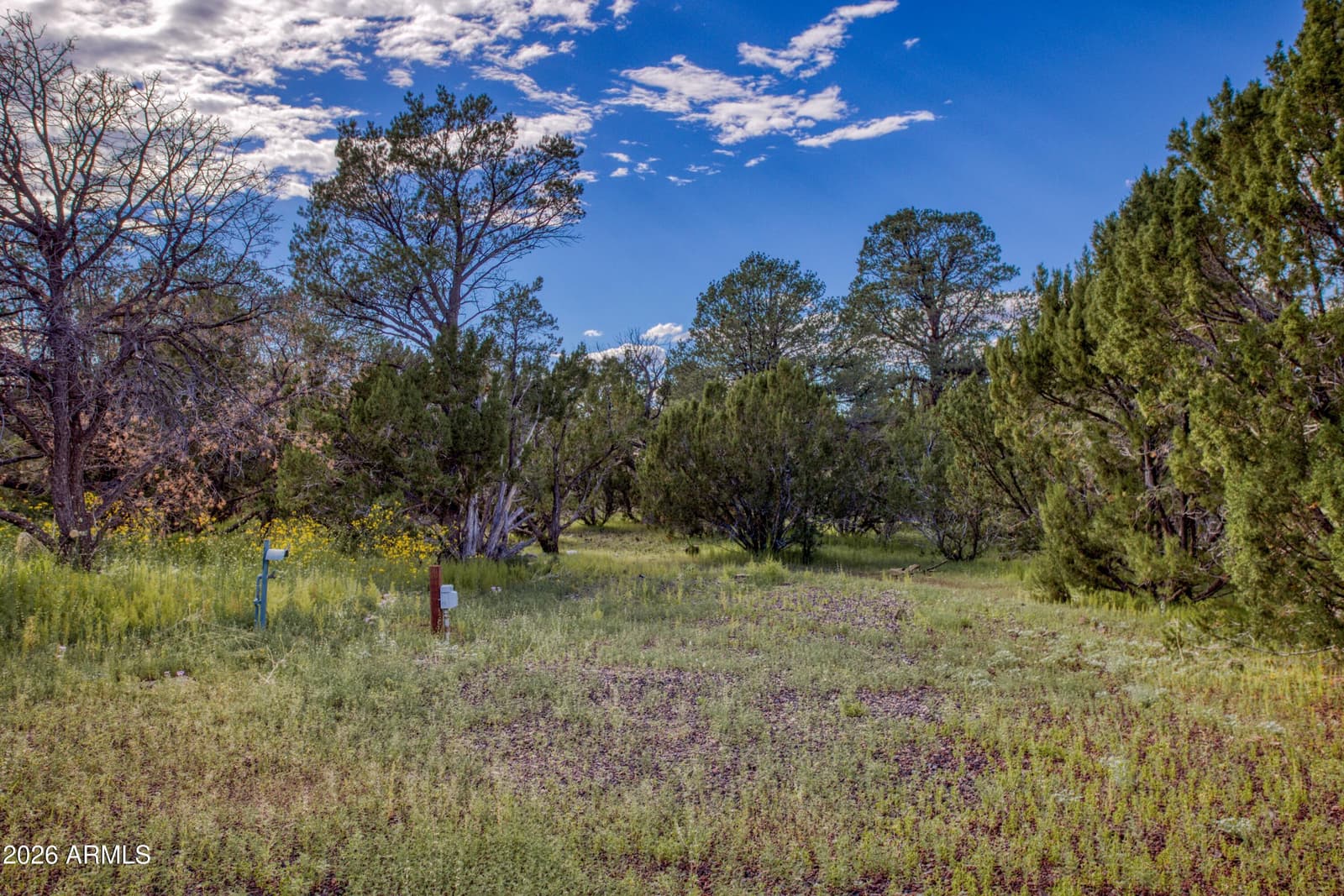 156 Acr 3158, Vernon, AZ 85940 — photo 34 of 37