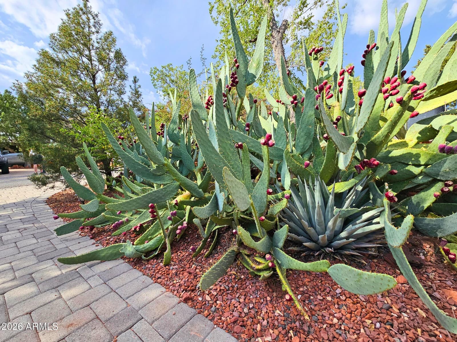 390 Coffee Pot Drive, Sedona, AZ 86336 — photo 4 of 31
