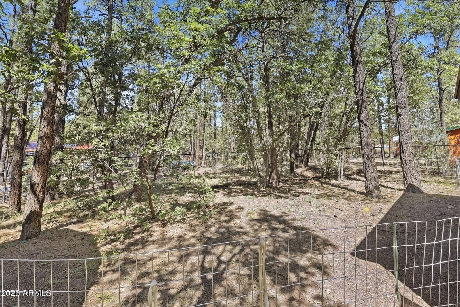 484 Lilly Drive, Lakeside, AZ 85929 — photo 28 of 39