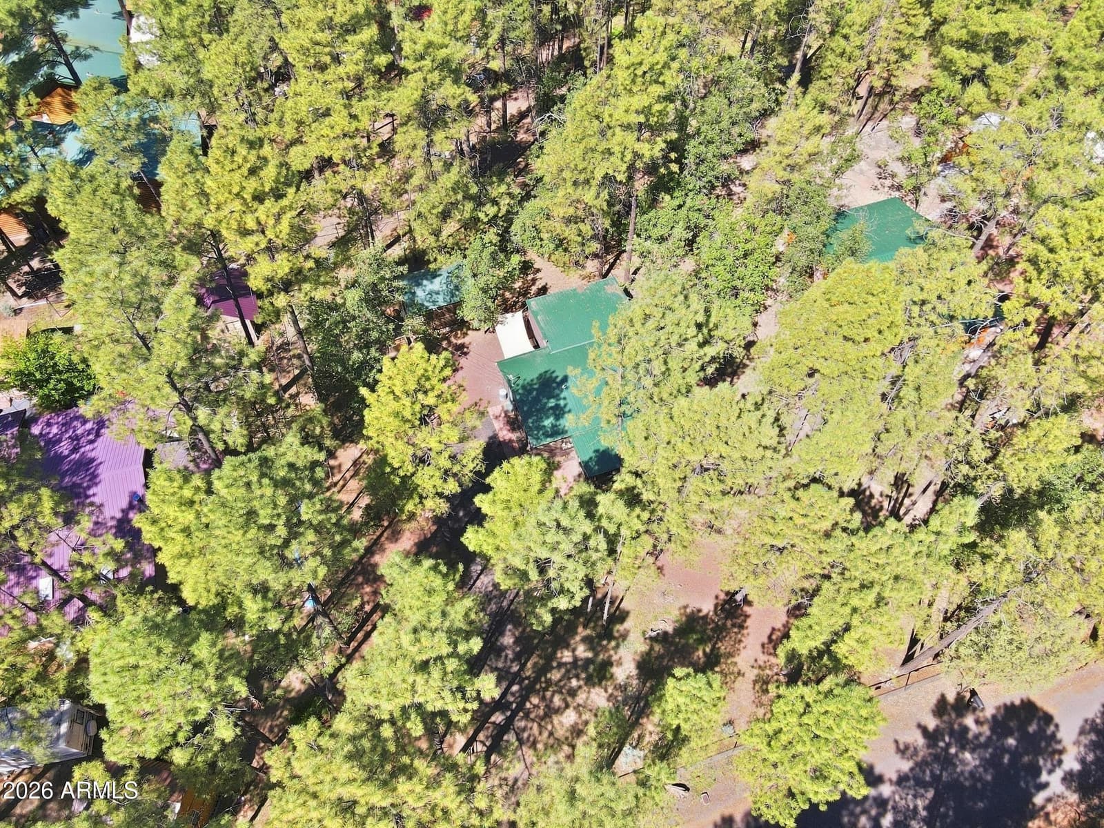 484 Lilly Drive, Lakeside, AZ 85929 — photo 35 of 39