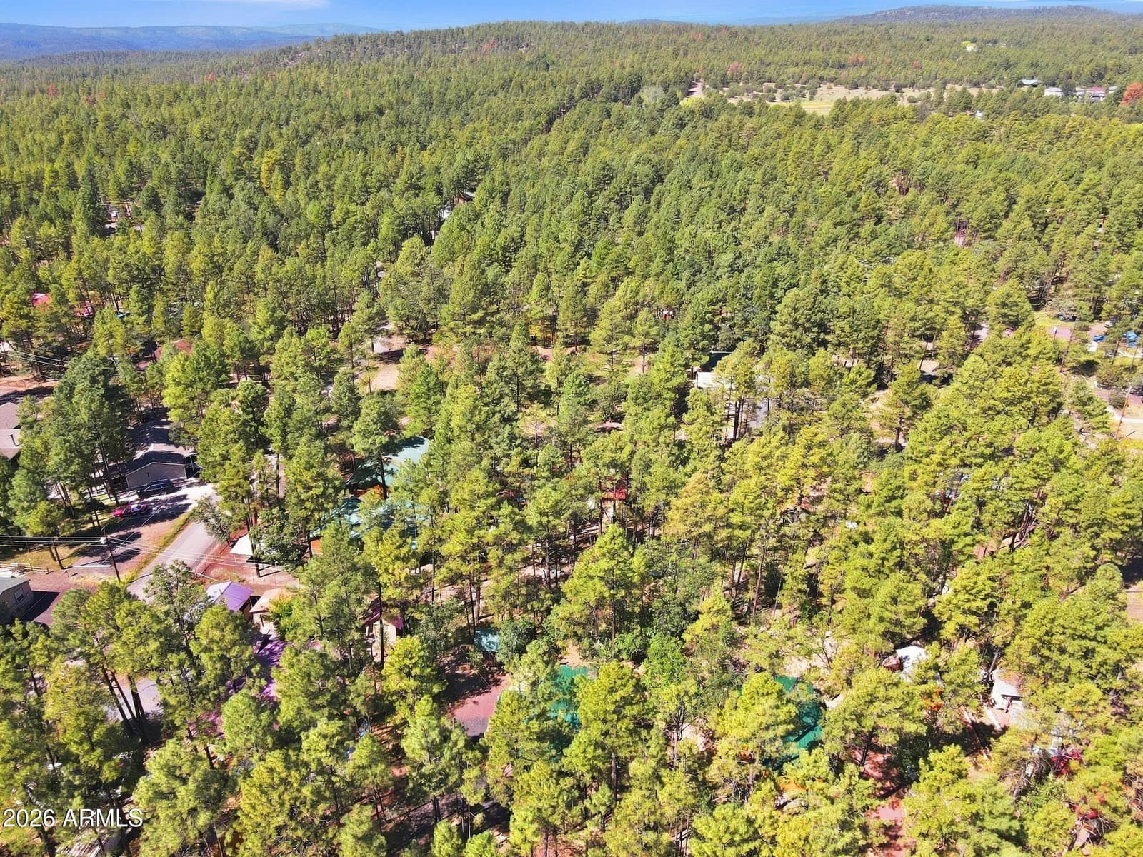 484 Lilly Drive, Lakeside, AZ 85929 — photo 38 of 39
