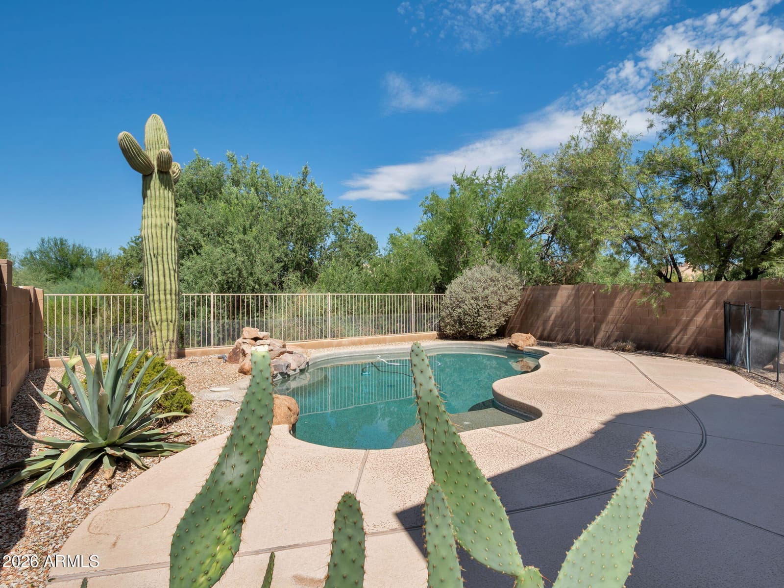 4946 E Roberta Drive, Cave Creek, AZ 85331 — photo 23 of 24