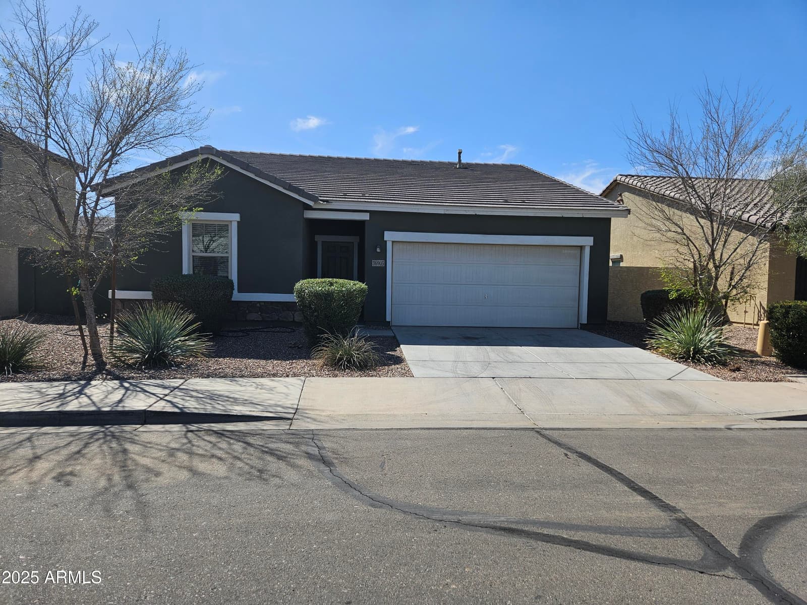 36905 W Mattino Lane, Maricopa, AZ 85138 — photo 1 of 19