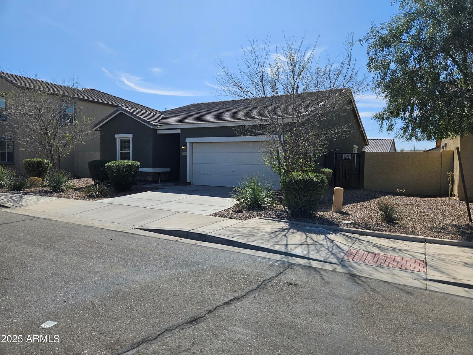 36905 W Mattino Lane, Maricopa, AZ 85138 — photo 3 of 19