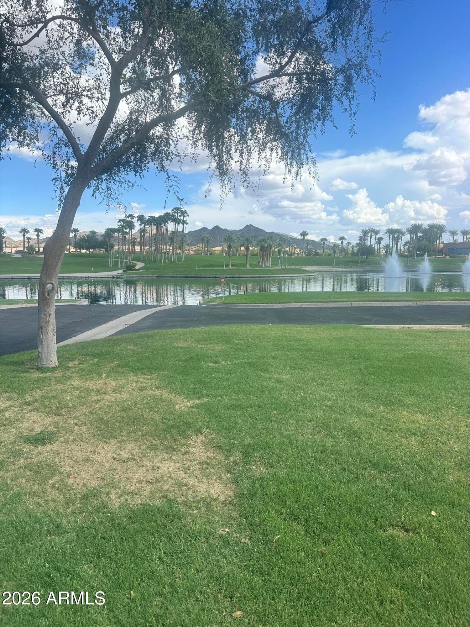 18111 W Desert Blossom Drive, Goodyear, AZ 85338 — photo 21 of 25
