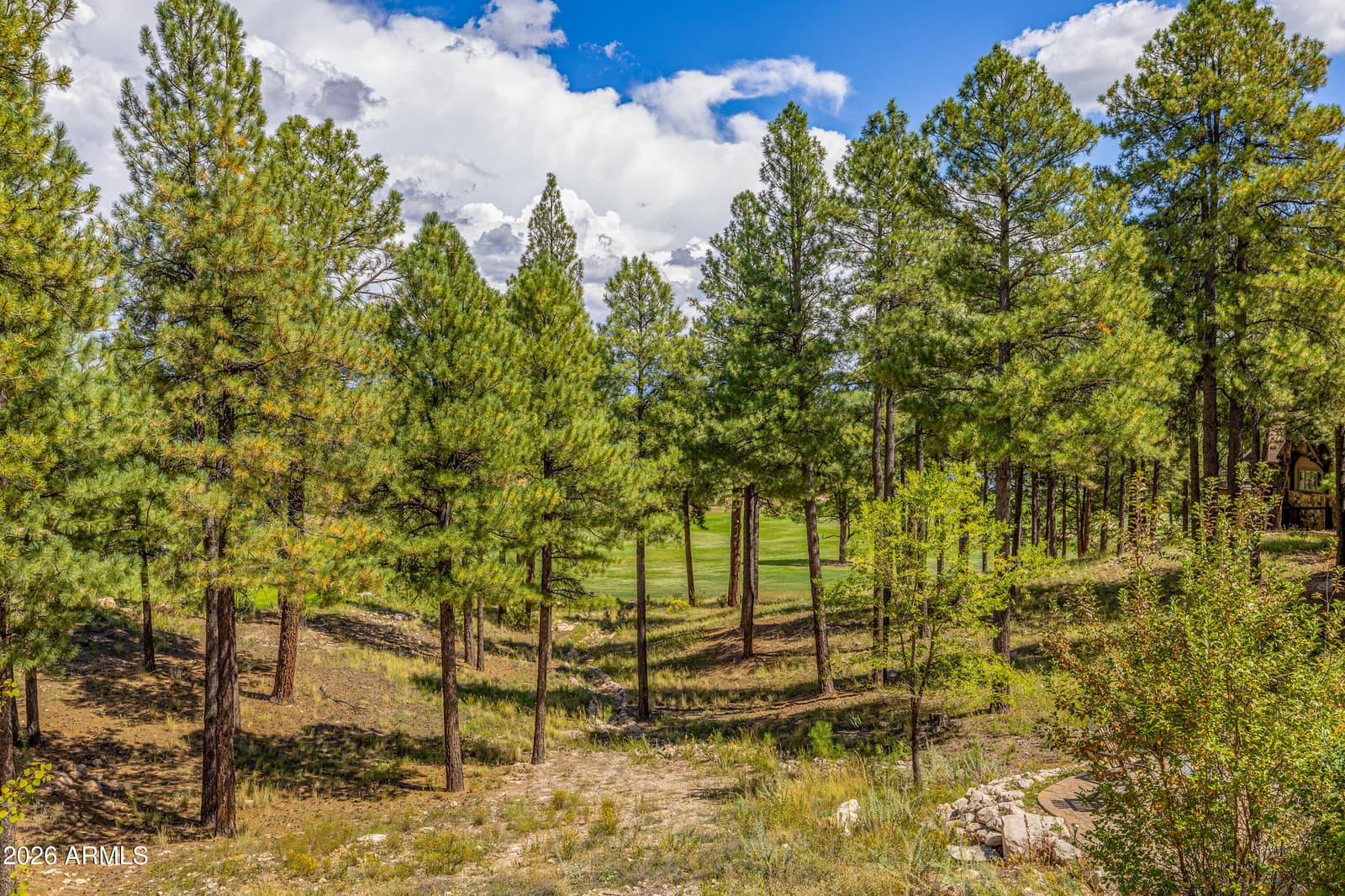 1757 E Bent Tree Circle 16, Flagstaff, AZ 86005 — photo 32 of 54