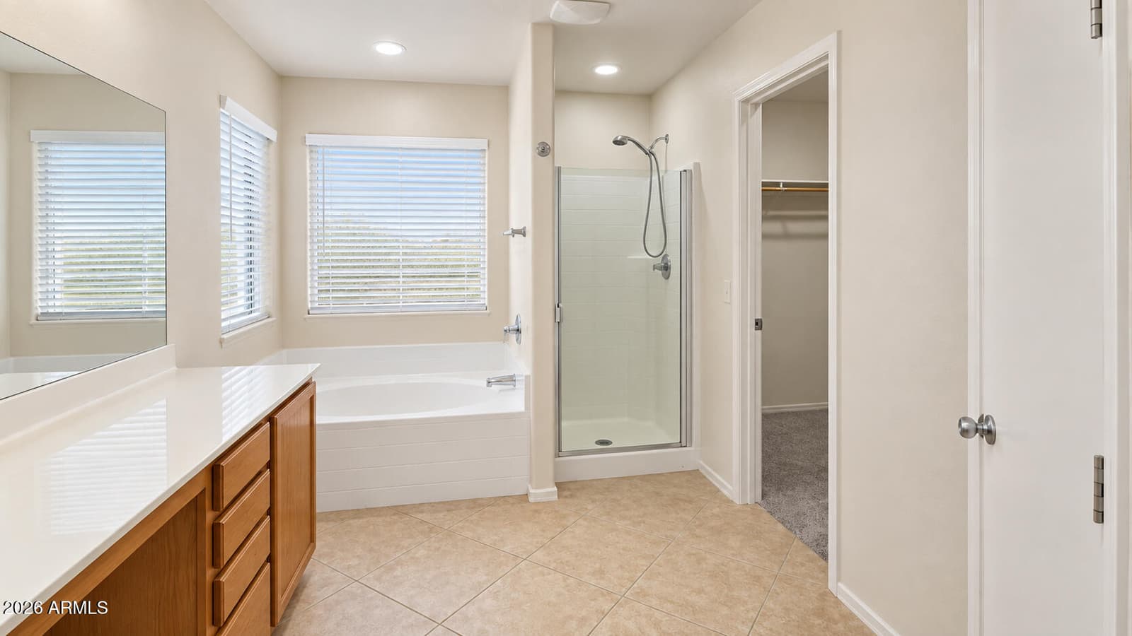20008 N Flamenco Street, Maricopa, AZ 85138 — photo 19 of 25