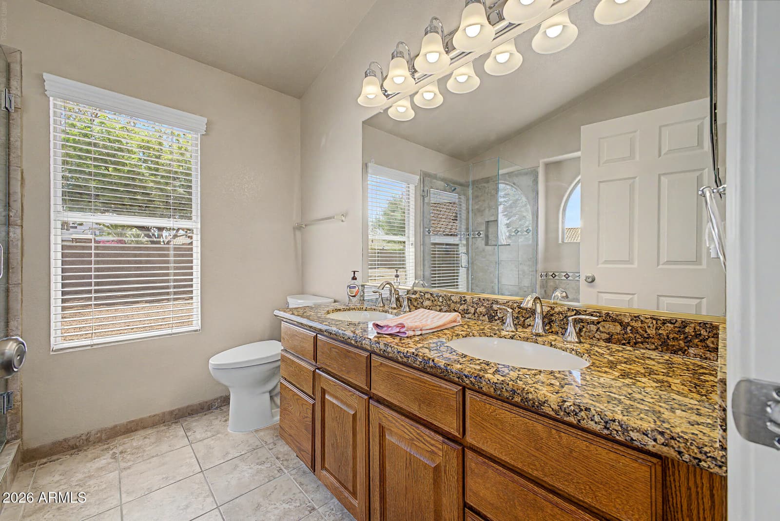 11067 S Obispo Drive, Goodyear, AZ 85338 — photo 16 of 38