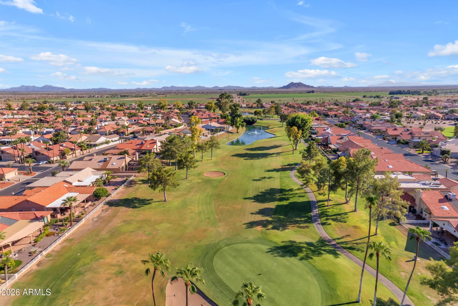 10422 E Regal Drive, Sun Lakes, AZ 85248 — photo 58 of 64