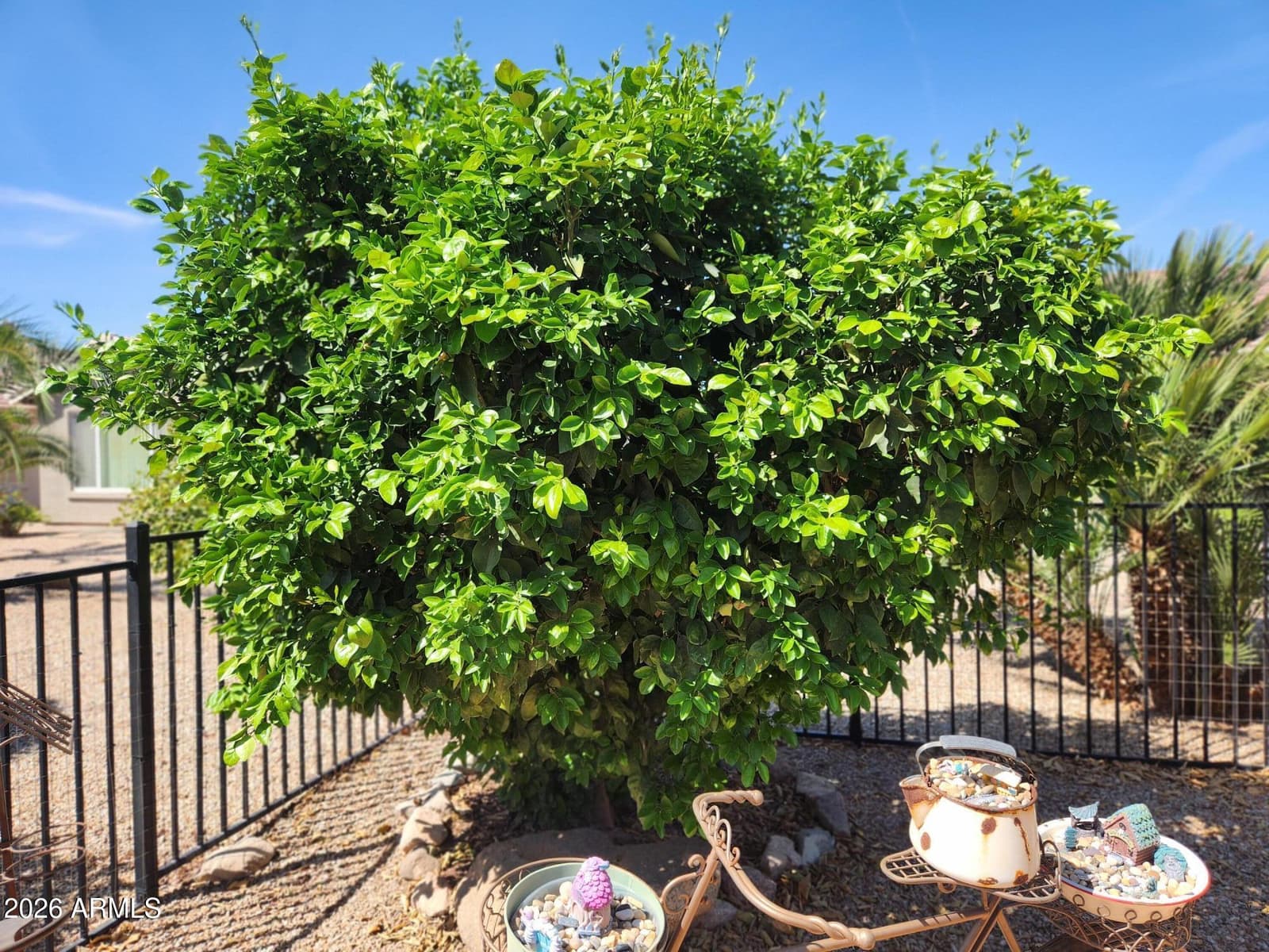 36 S Valencia Court, Casa Grande, AZ 85194 — photo 15 of 16
