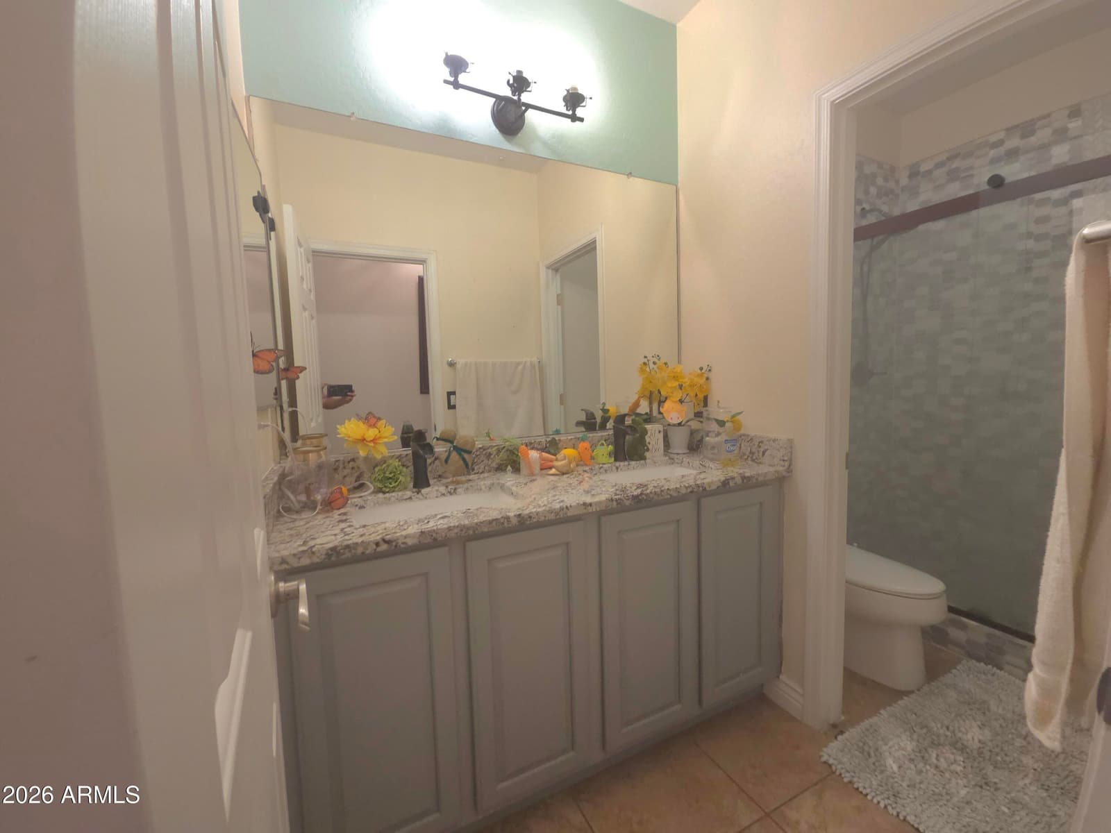 2413 S 121st Drive, Avondale, AZ 85323 — photo 22 of 40