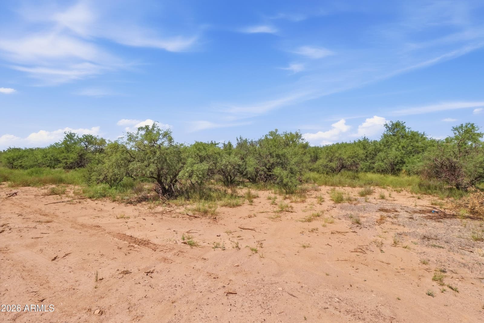 3164 W Century Drive, Benson, AZ 85602 — photo 9 of 37