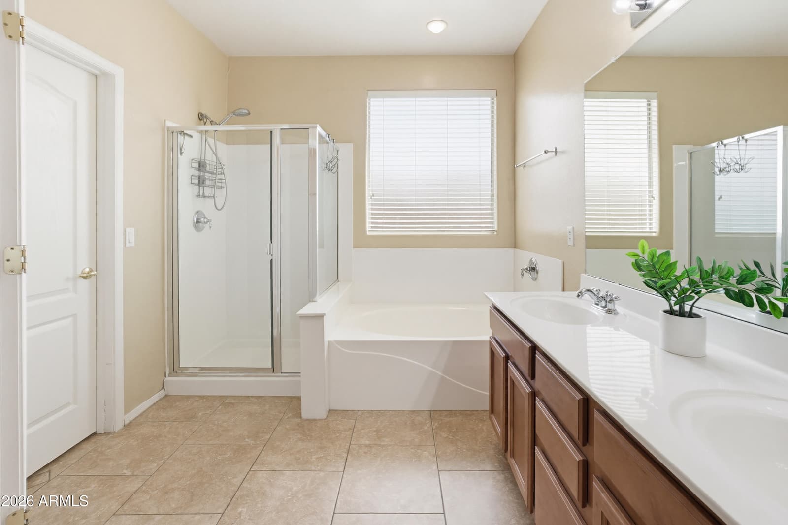 17271 W Smokey Drive, Surprise, AZ 85388 — photo 4 of 48