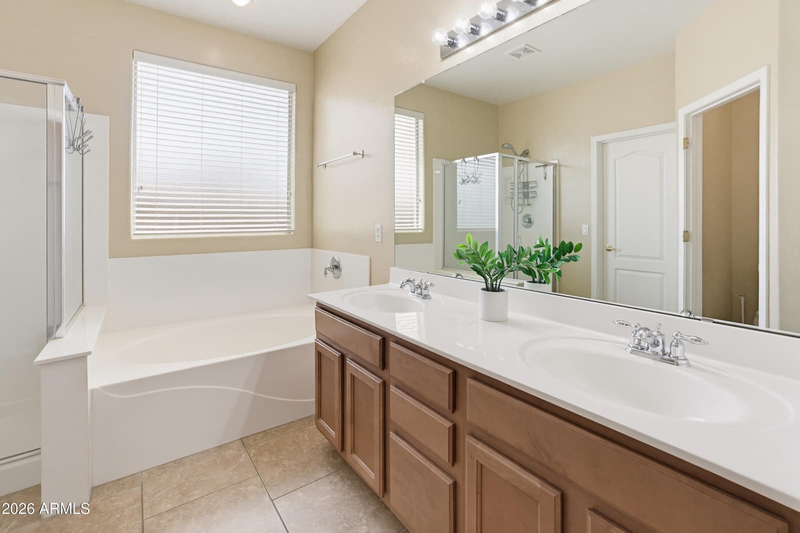 17271 W Smokey Drive, Surprise, AZ 85388 — photo 25 of 48