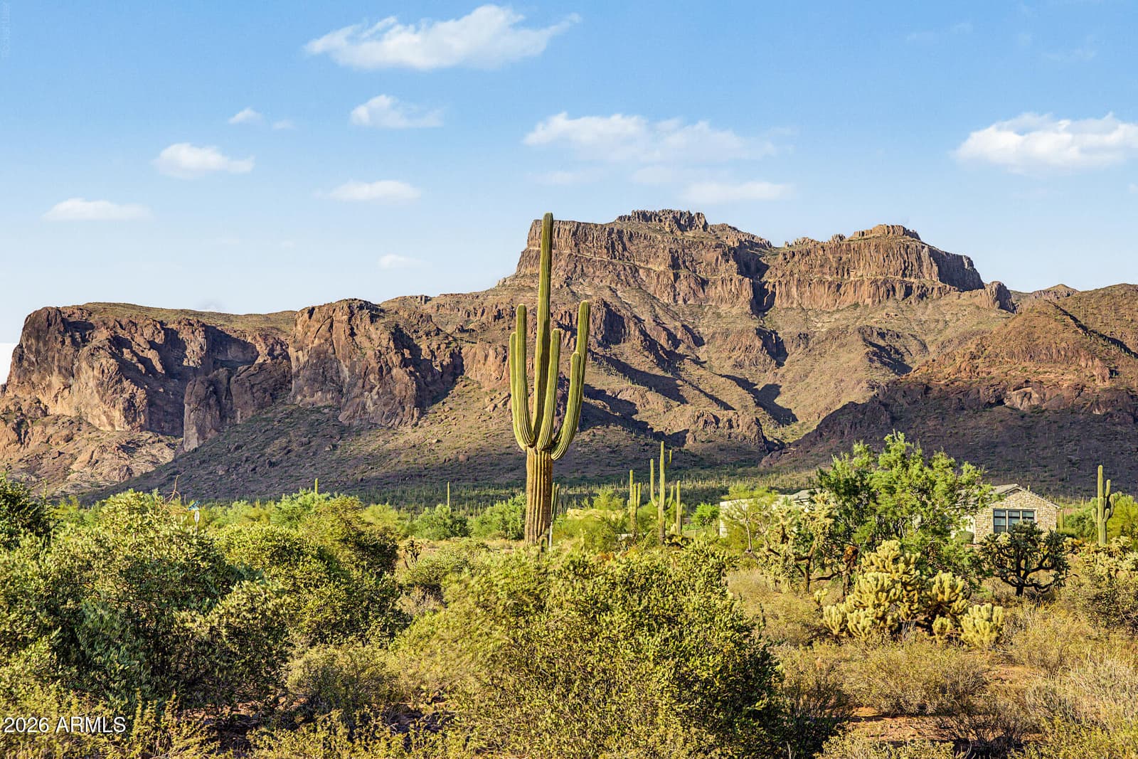 1111 S Deer Run Court, Apache Junction, AZ 85119 — photo 26 of 26