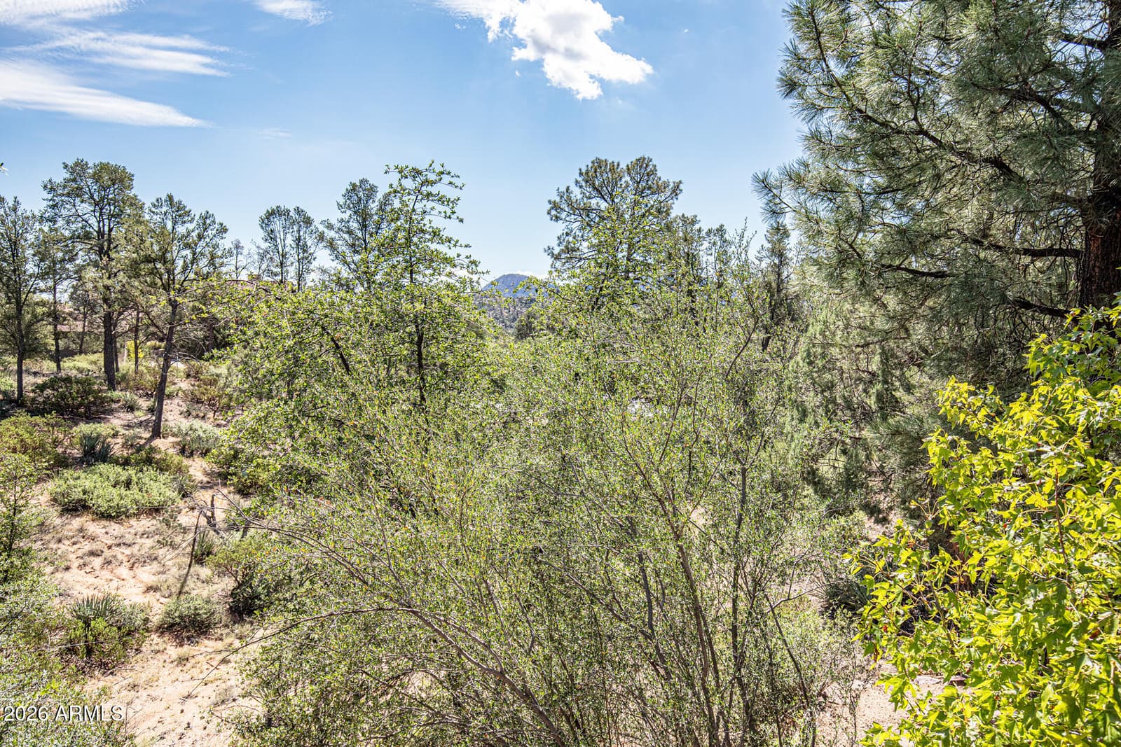 2302 E Rim Club Drive, Payson, AZ 85541 — photo 57 of 72