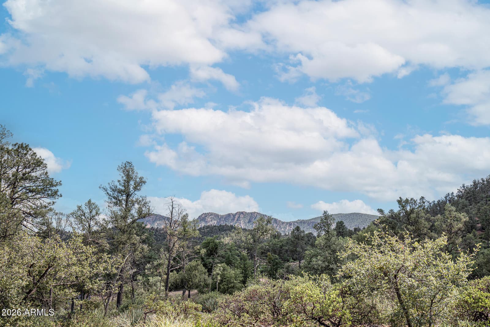2302 E Rim Club Drive, Payson, AZ 85541 — photo 71 of 72