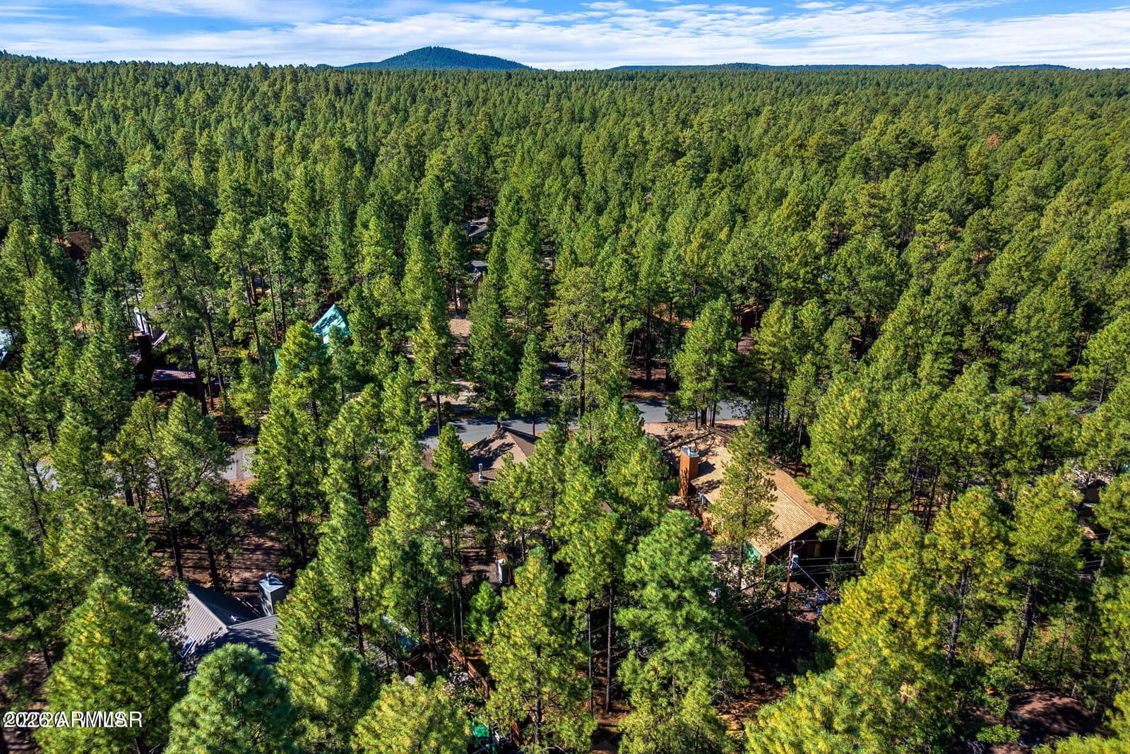 3233 Turkey Track Road, Pinetop, AZ 85935 — photo 31 of 33