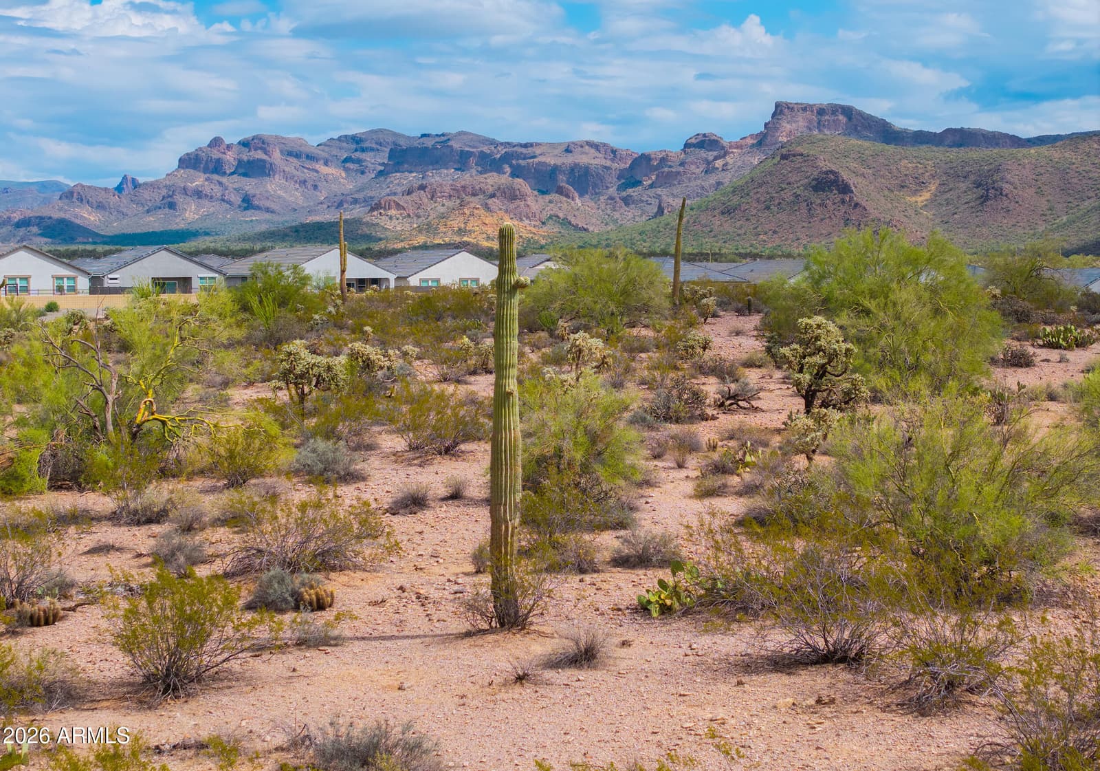48171 N La Soledad, Gold Canyon, AZ 85118 — photo 62 of 63