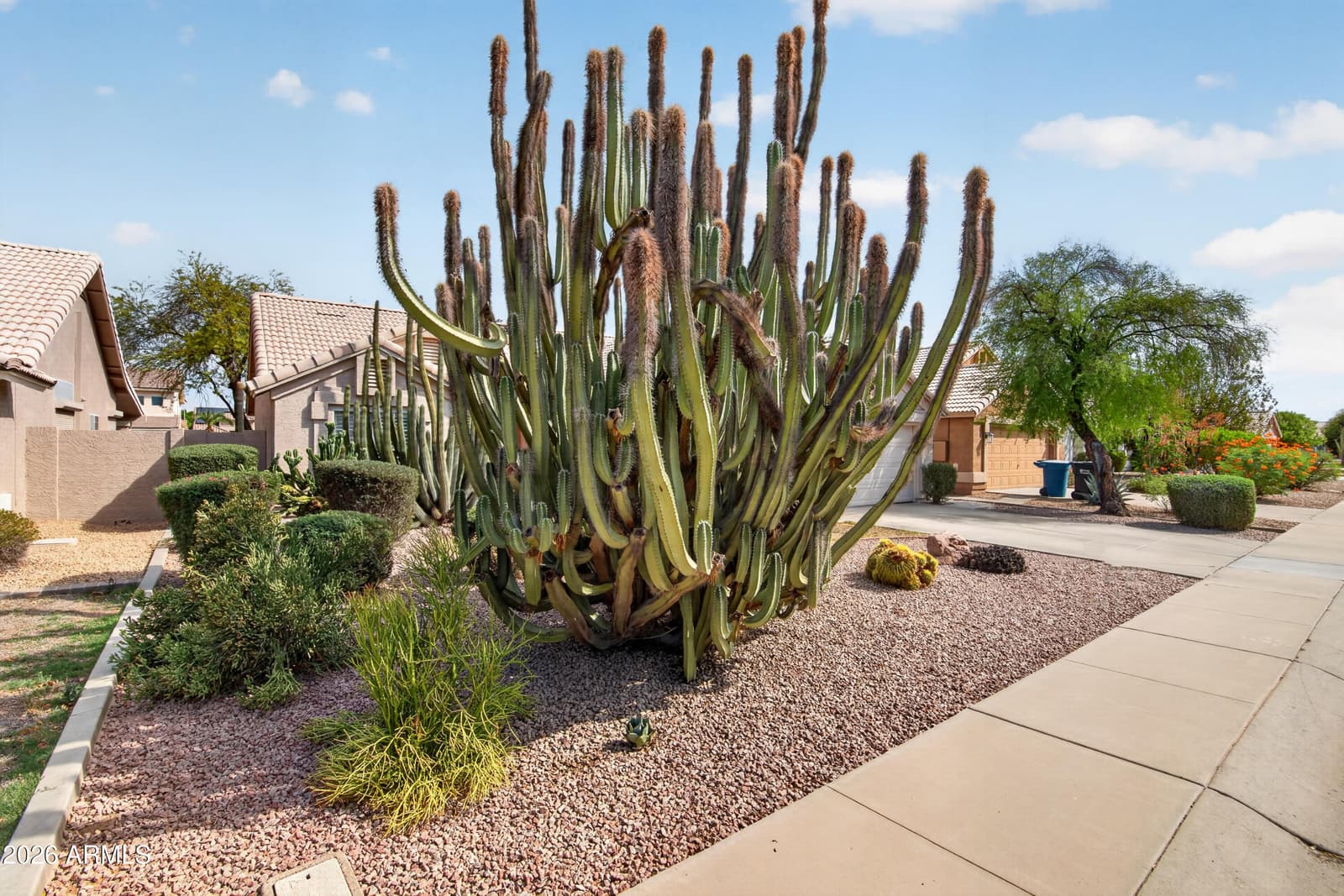 1590 E San Tan Street, Chandler, AZ 85225 — photo 3 of 25