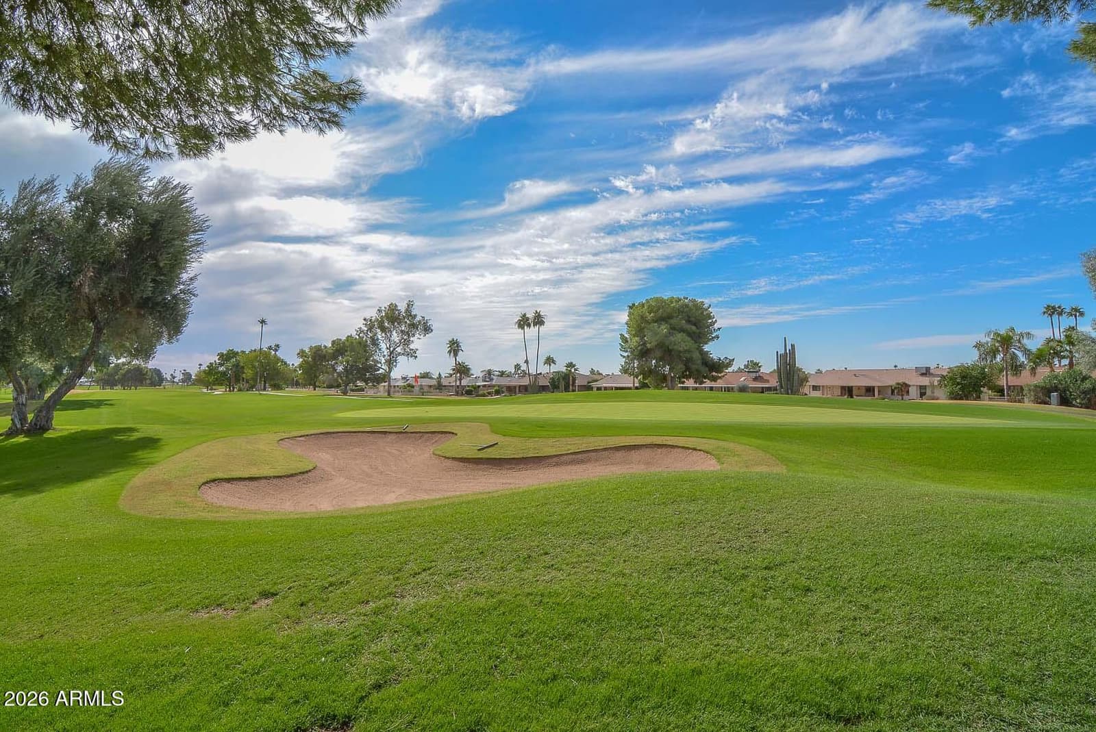 17406 N 130th Avenue, Sun City West, AZ 85375 — photo 45 of 50