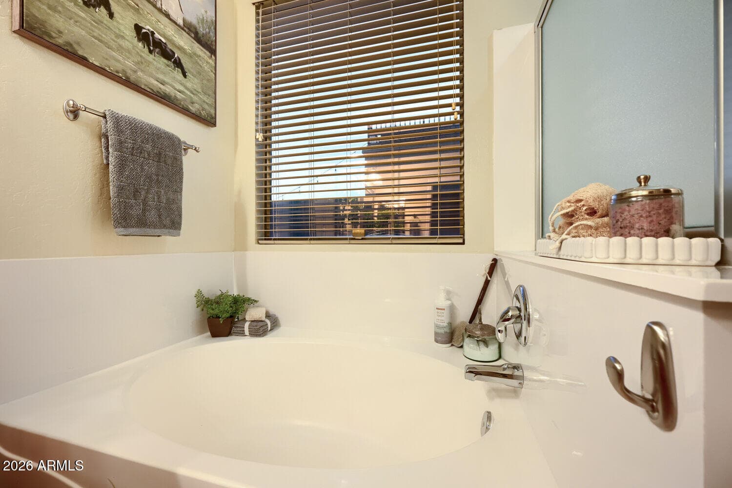 15312 W Tasha Drive, Surprise, AZ 85374 — photo 16 of 24
