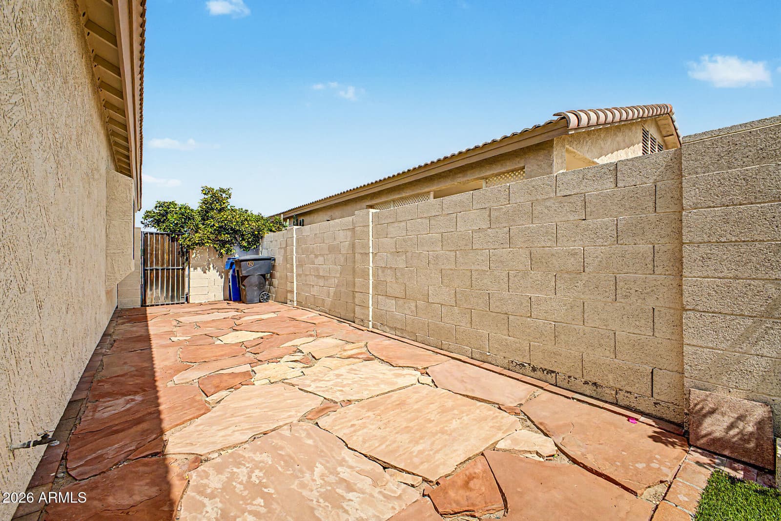 6245 E Mills Street, Mesa, AZ 85215 — photo 38 of 42