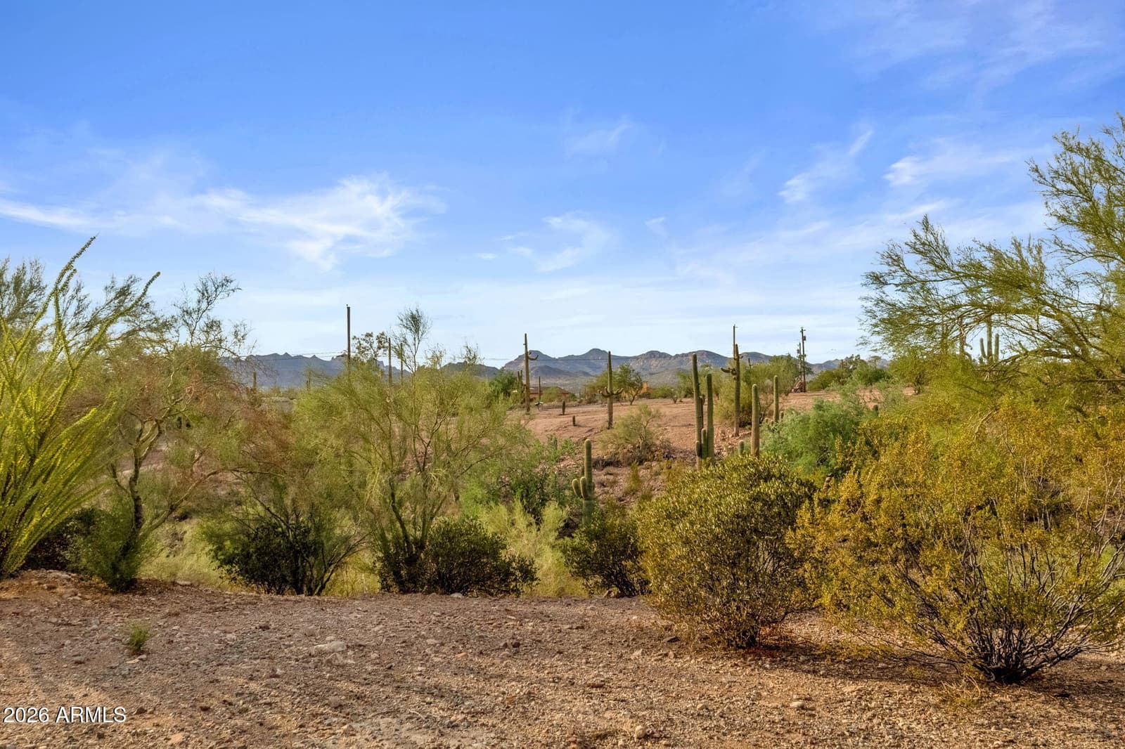 2564 N Charlebois Road, Apache Junction, AZ 85119 — photo 14 of 155
