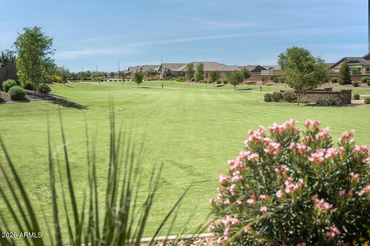 23007 E Oriole Way, Queen Creek, AZ 85142 — photo 73 of 76