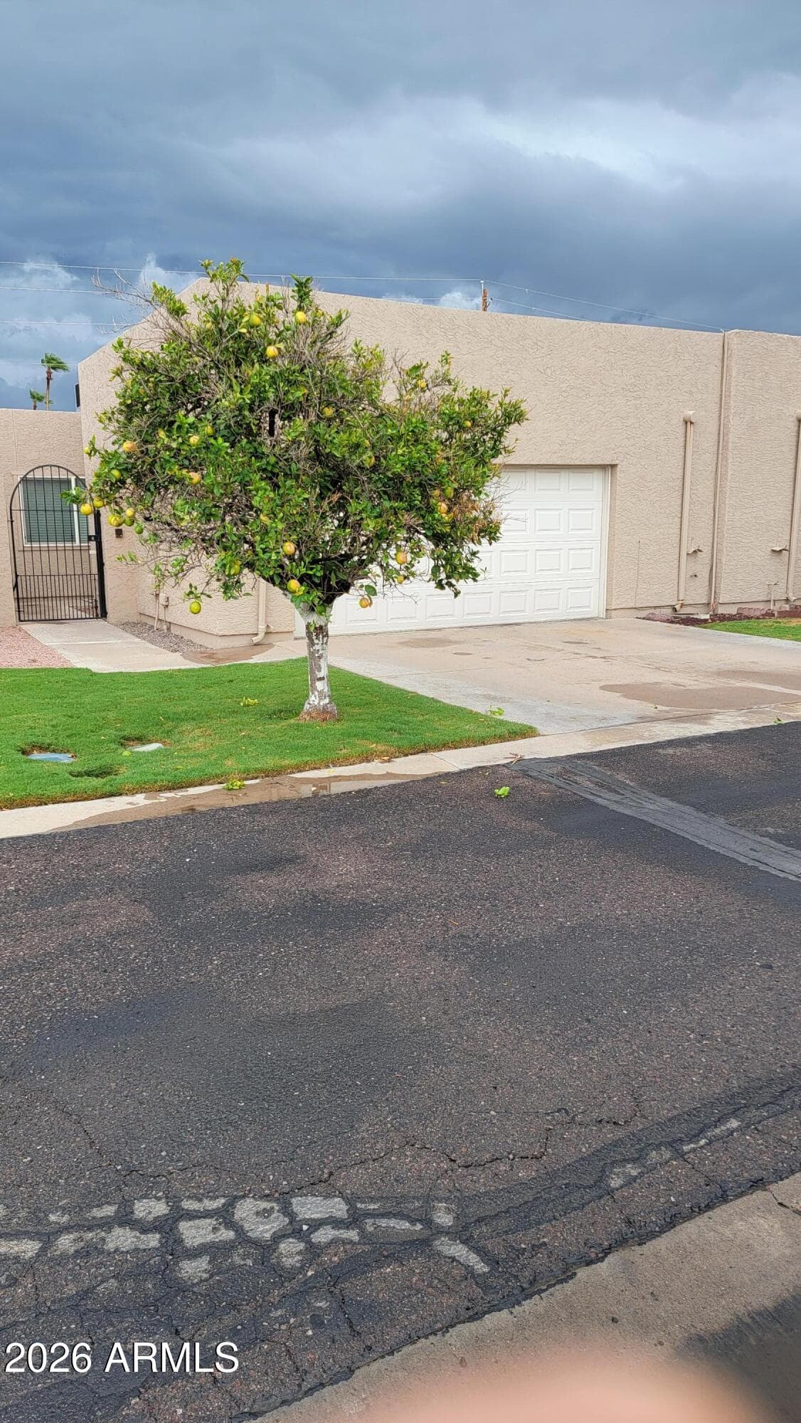 3345 E University Drive 74, Mesa, AZ 85213 — photo 31 of 32
