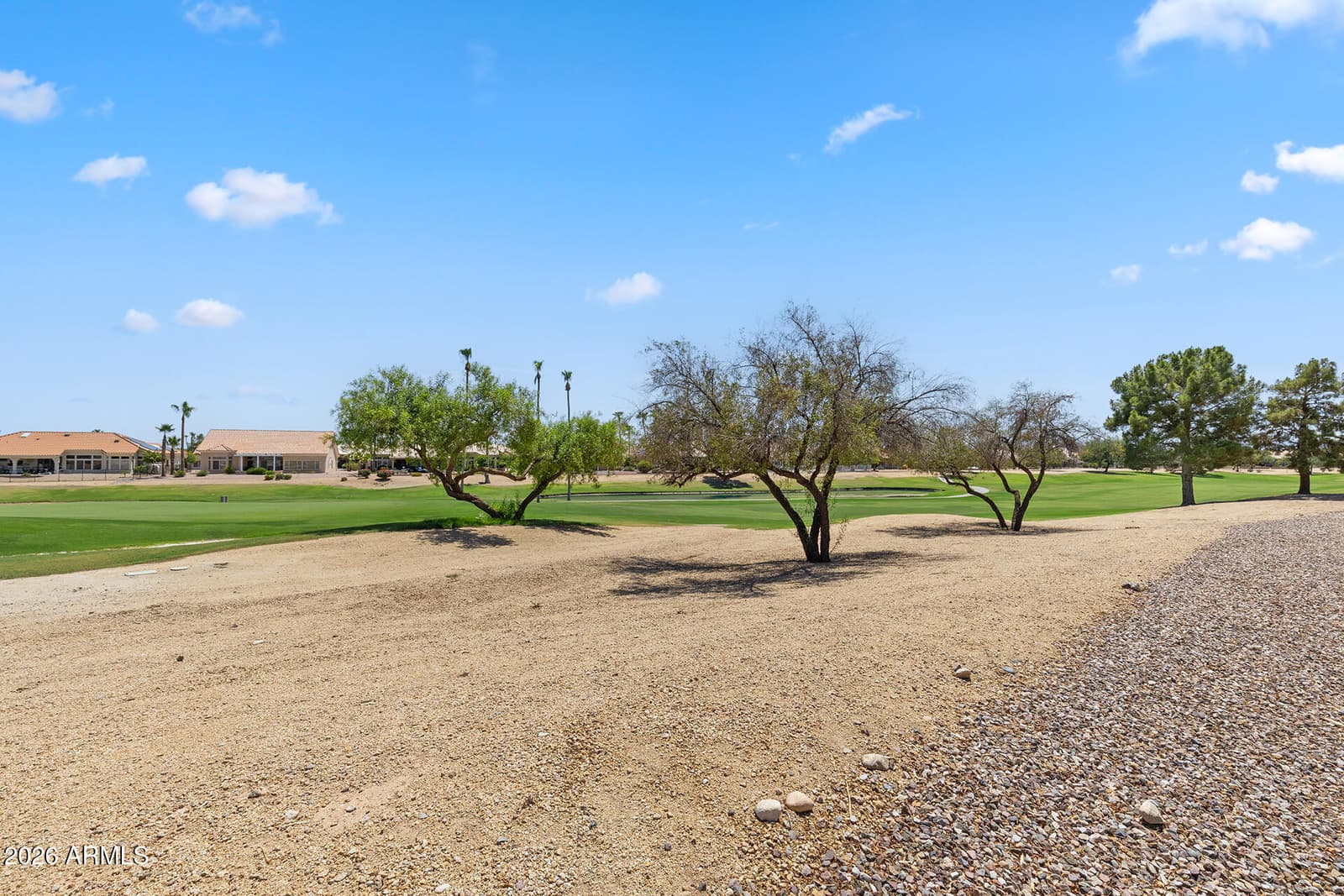 13747 W Via Montoya Drive, Sun City West, AZ 85375 — photo 68 of 70