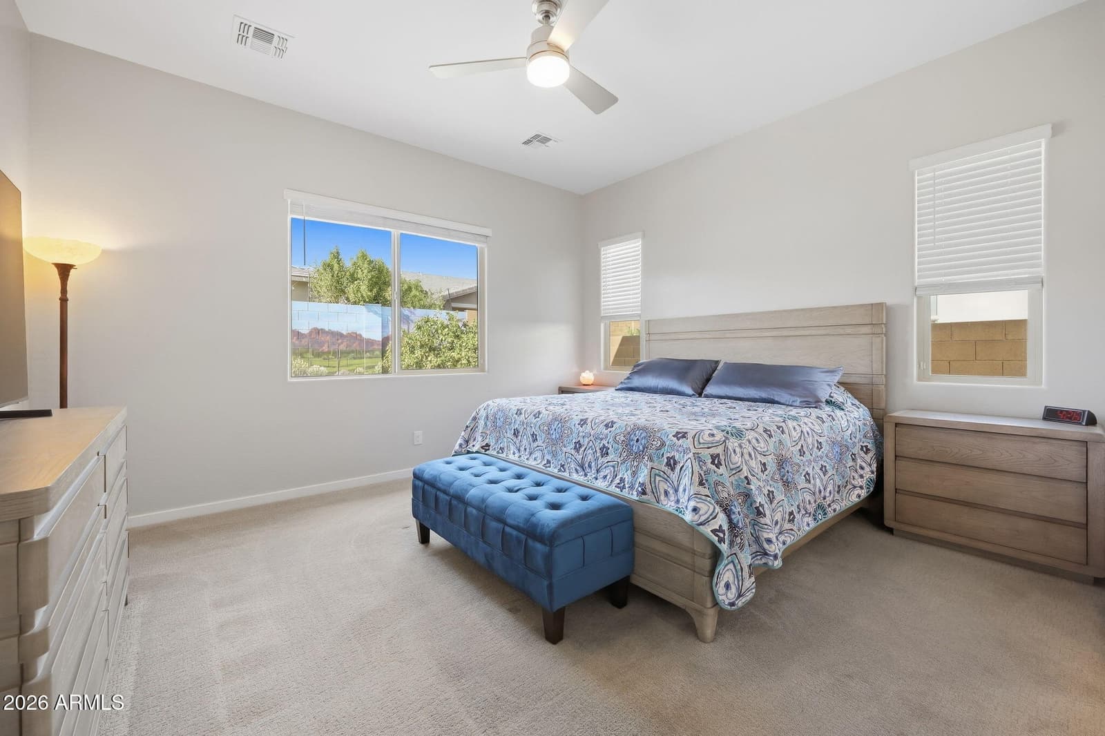 14616 W Larkspur Drive, Surprise, AZ 85379 — photo 22 of 71