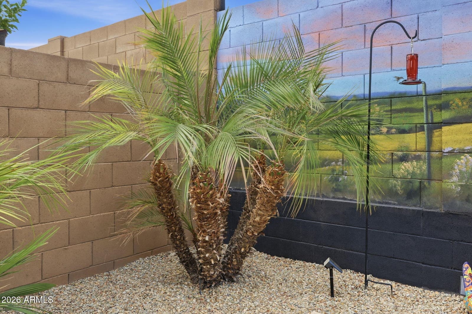 14616 W Larkspur Drive, Surprise, AZ 85379 — photo 33 of 71