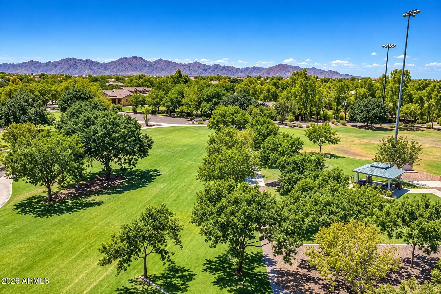 14616 W Larkspur Drive, Surprise, AZ 85379 — photo 52 of 71