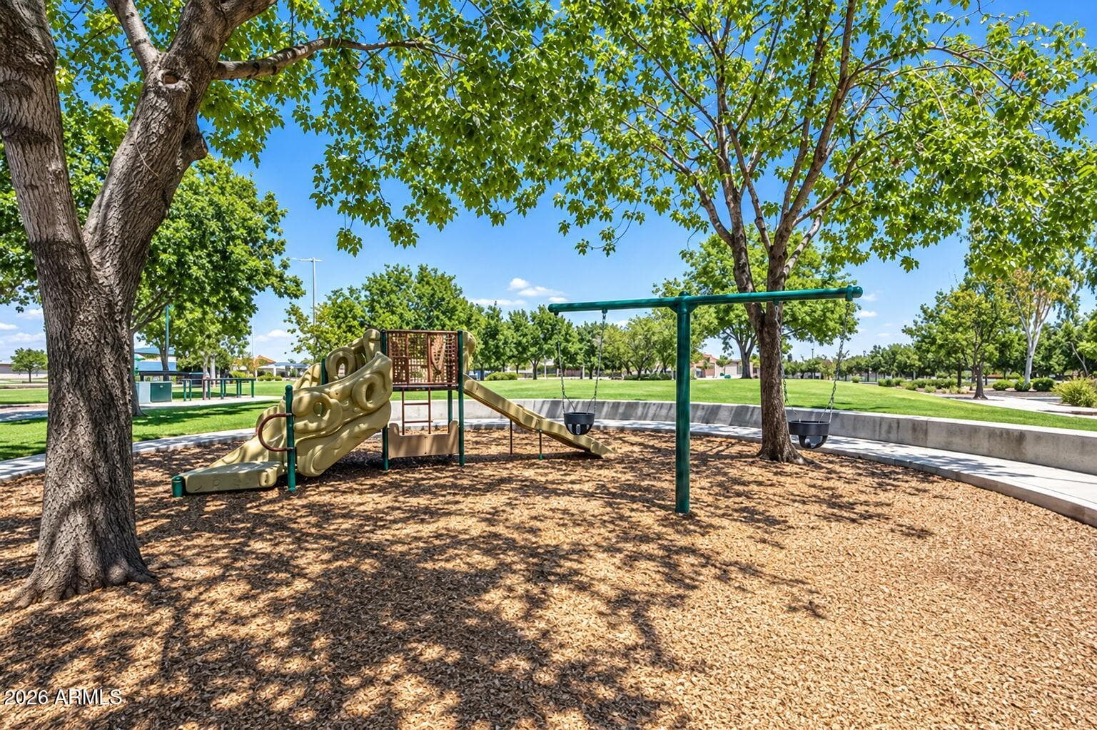 14616 W Larkspur Drive, Surprise, AZ 85379 — photo 65 of 71