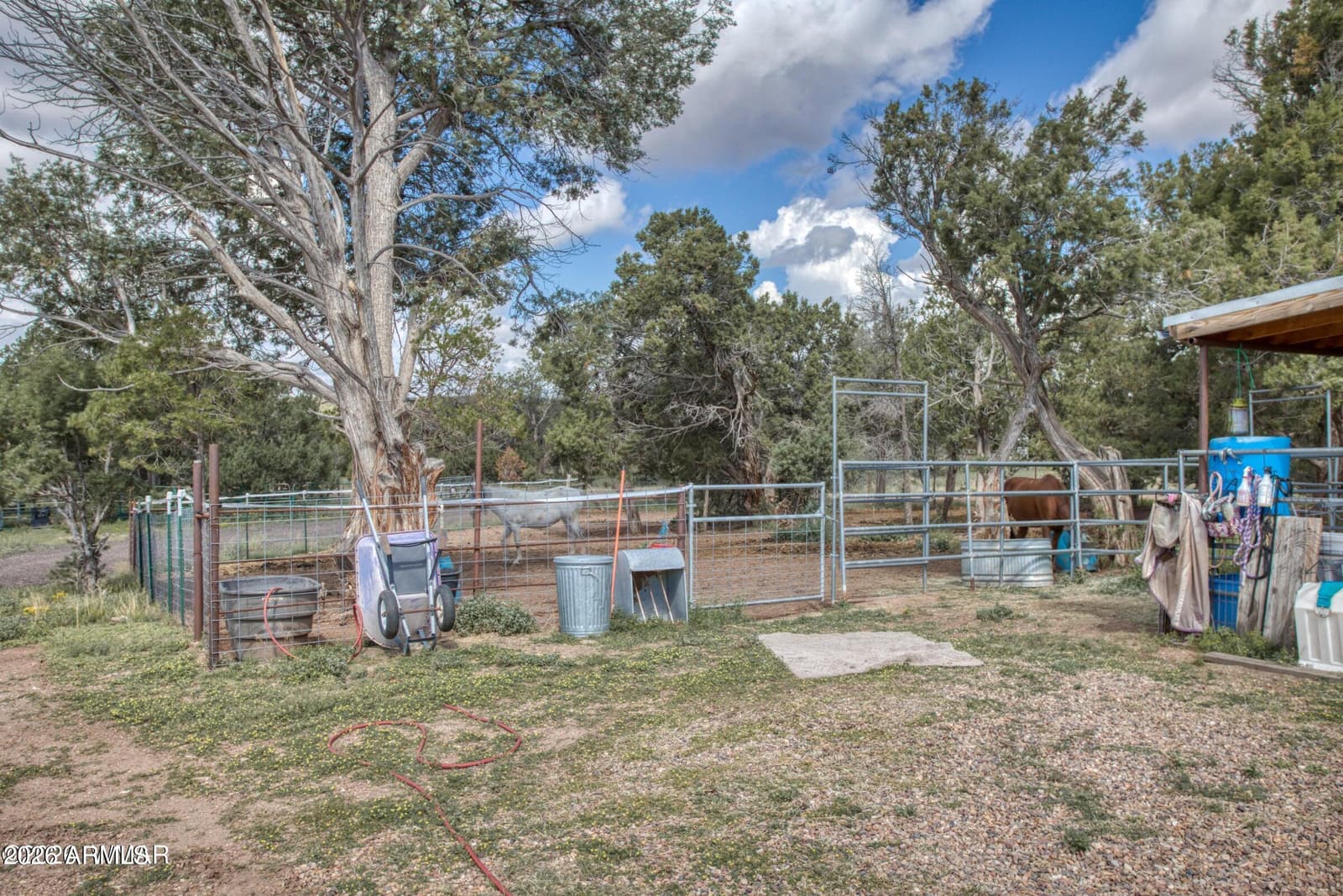 5337 Alserita Road, Show Low, AZ 85901 — photo 28 of 35