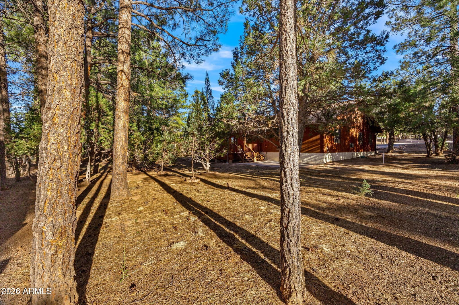 2202 Forest Park Drive, Overgaard, AZ 85933 — photo 10 of 50