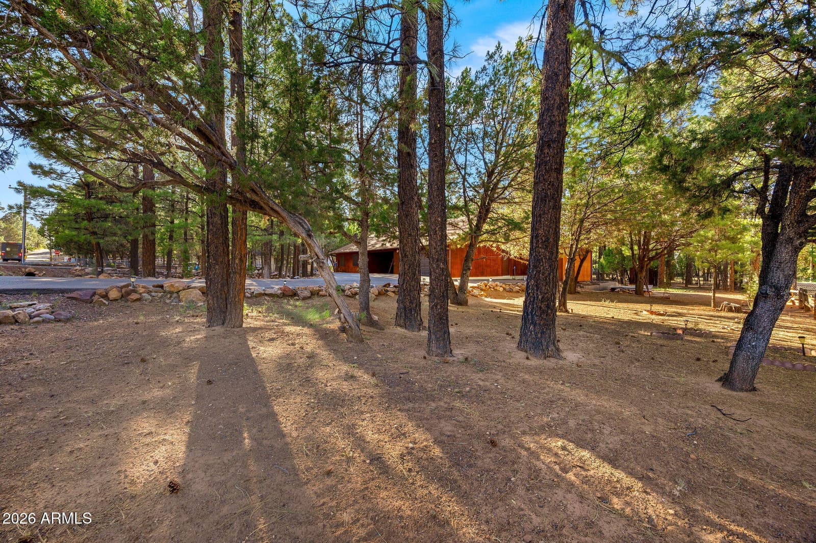 2202 Forest Park Drive, Overgaard, AZ 85933 — photo 12 of 50