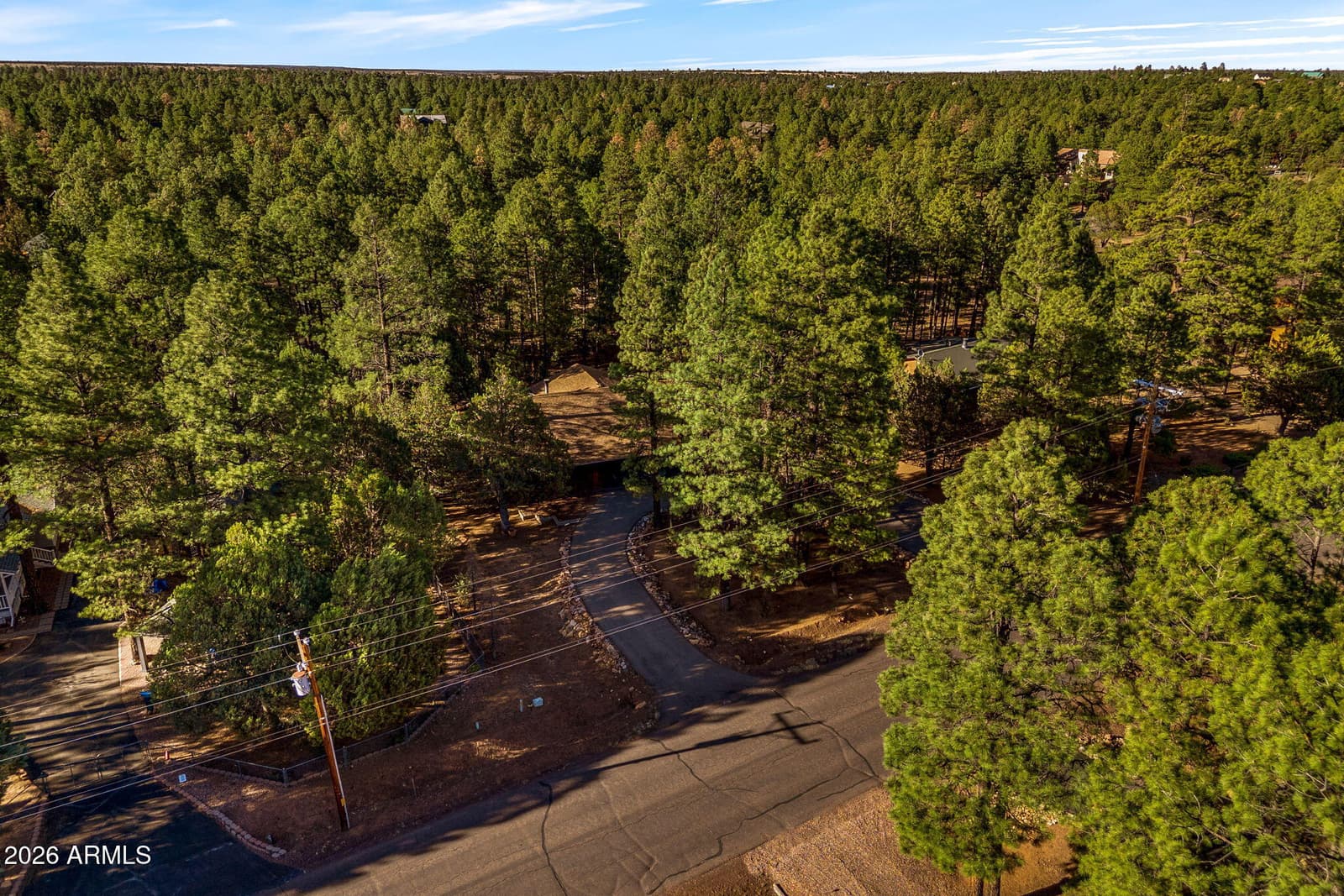 2202 Forest Park Drive, Overgaard, AZ 85933 — photo 47 of 50