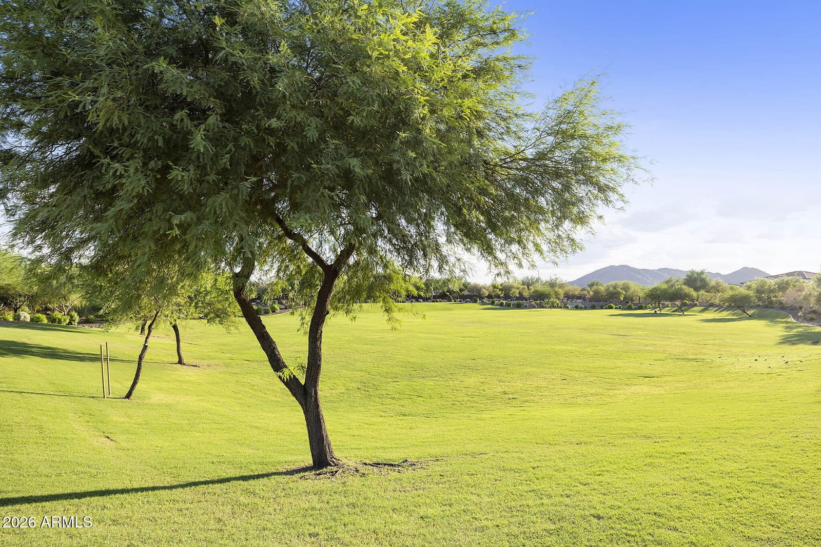 27152 N 71st Avenue, Peoria, AZ 85383 — photo 82 of 97