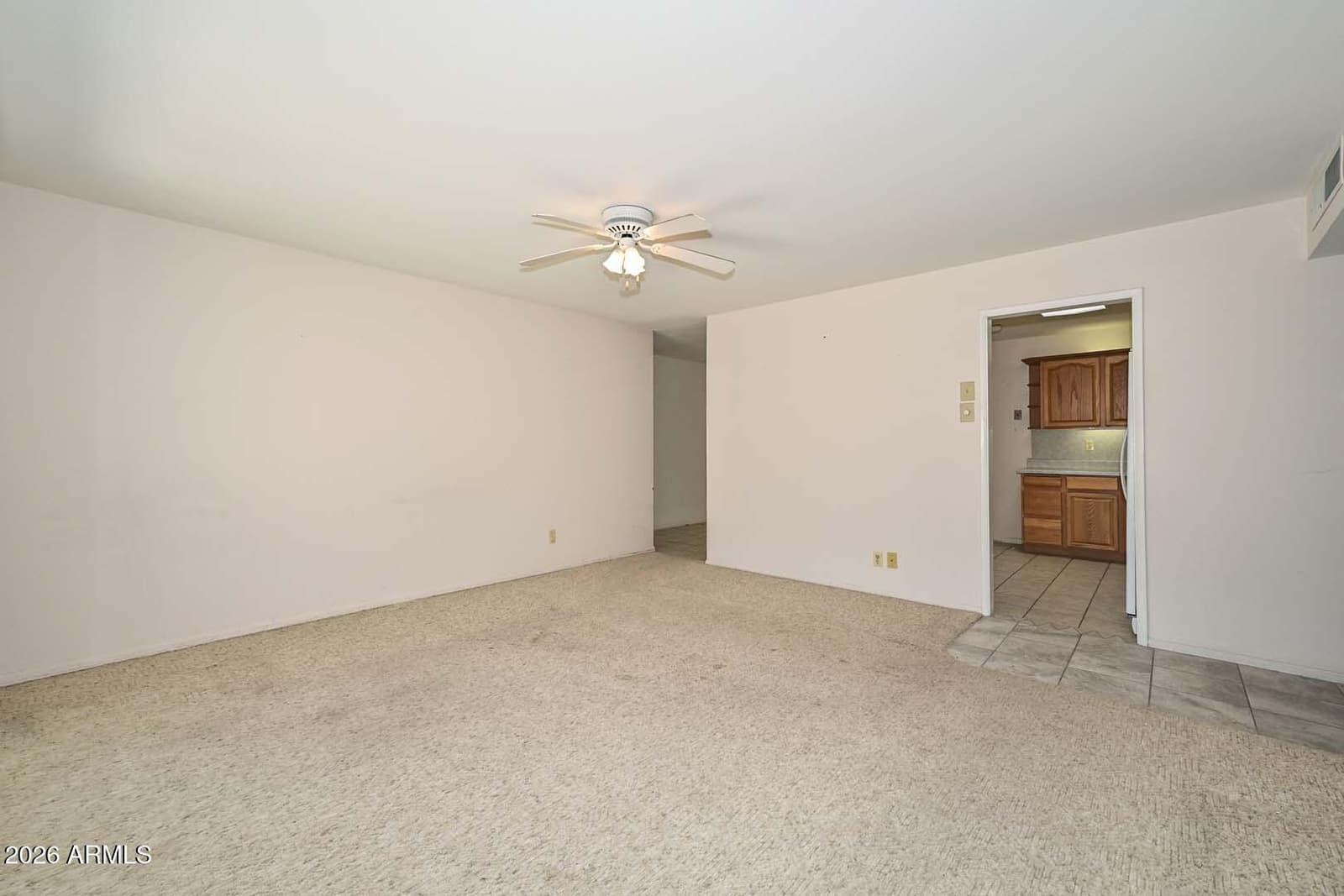 11646 N 105th Avenue, Sun City, AZ 85351 — photo 6 of 61
