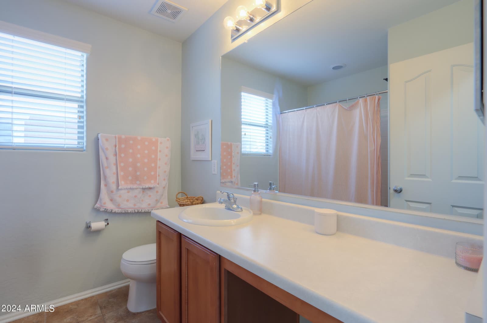 986 S Hawk Lane, Gilbert, AZ 85296 — photo 22 of 38